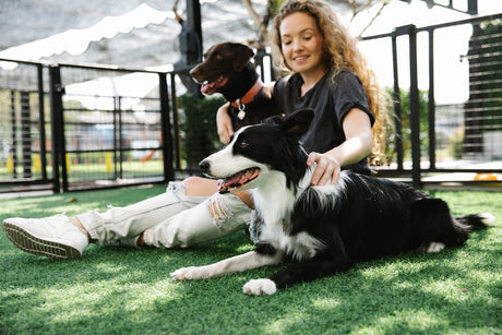 Woman sitting with dogs