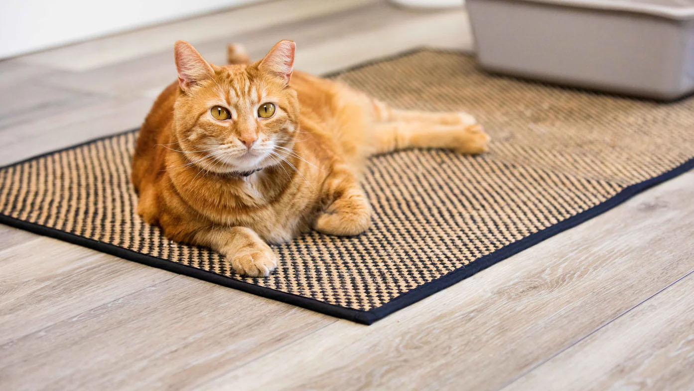 Cat laying on a jute mat