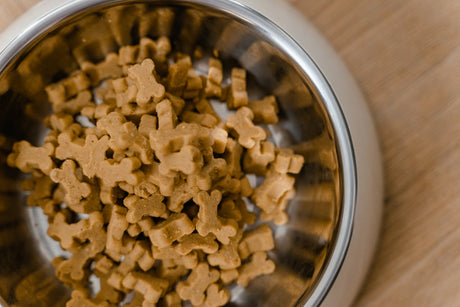 Pet food in bowl