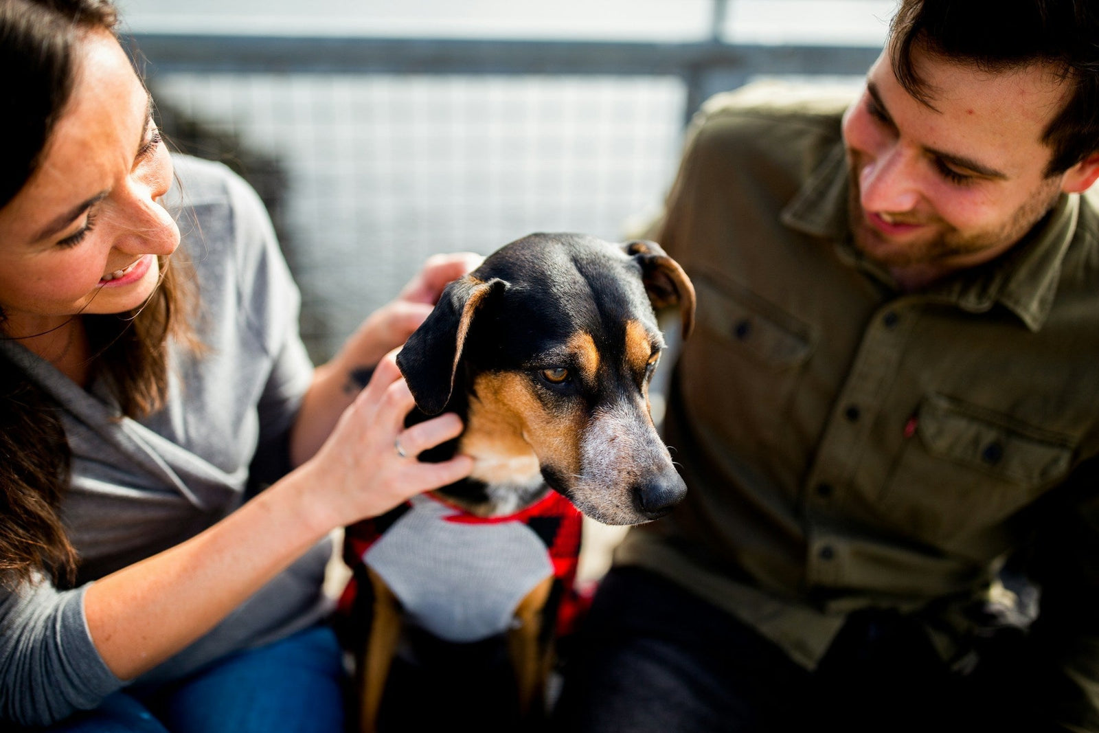 Pet owners with a dog at an indoor dog park