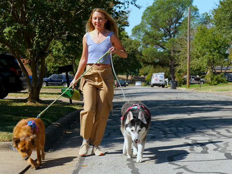 Woman walking two dogs while also holding the Lift N Bag