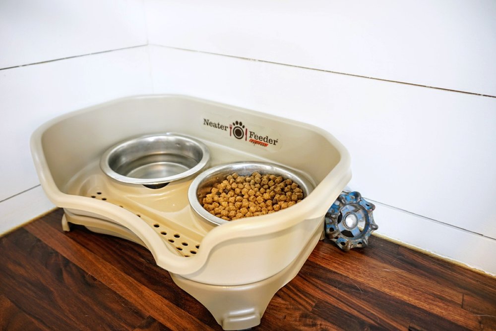 Cute Dog Bowls Small Dogs, Dog Food Water Bowls Ceramic