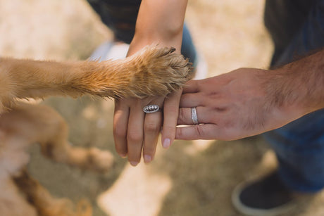 Couple showing off ring with dog paw