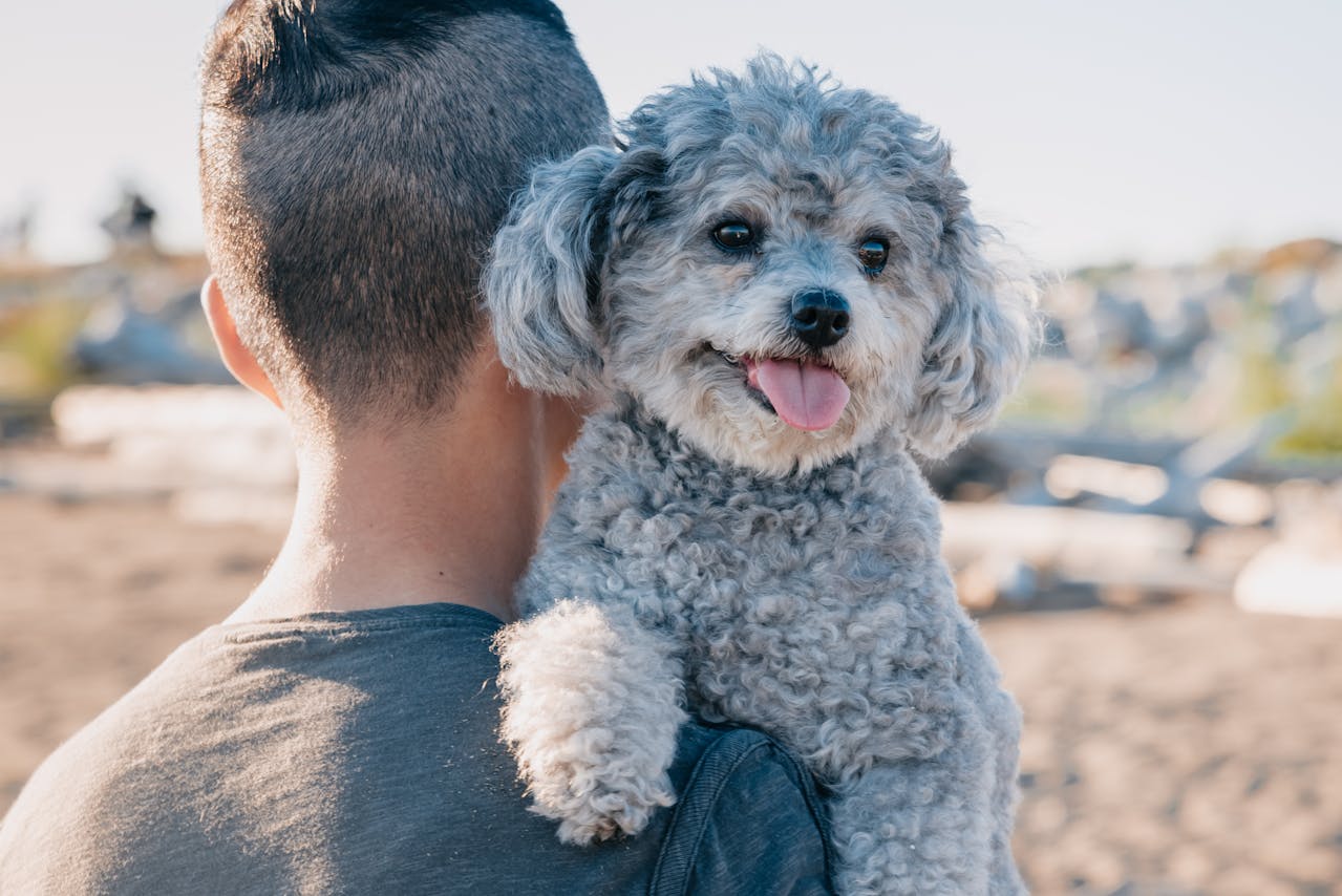 Man holding poodle