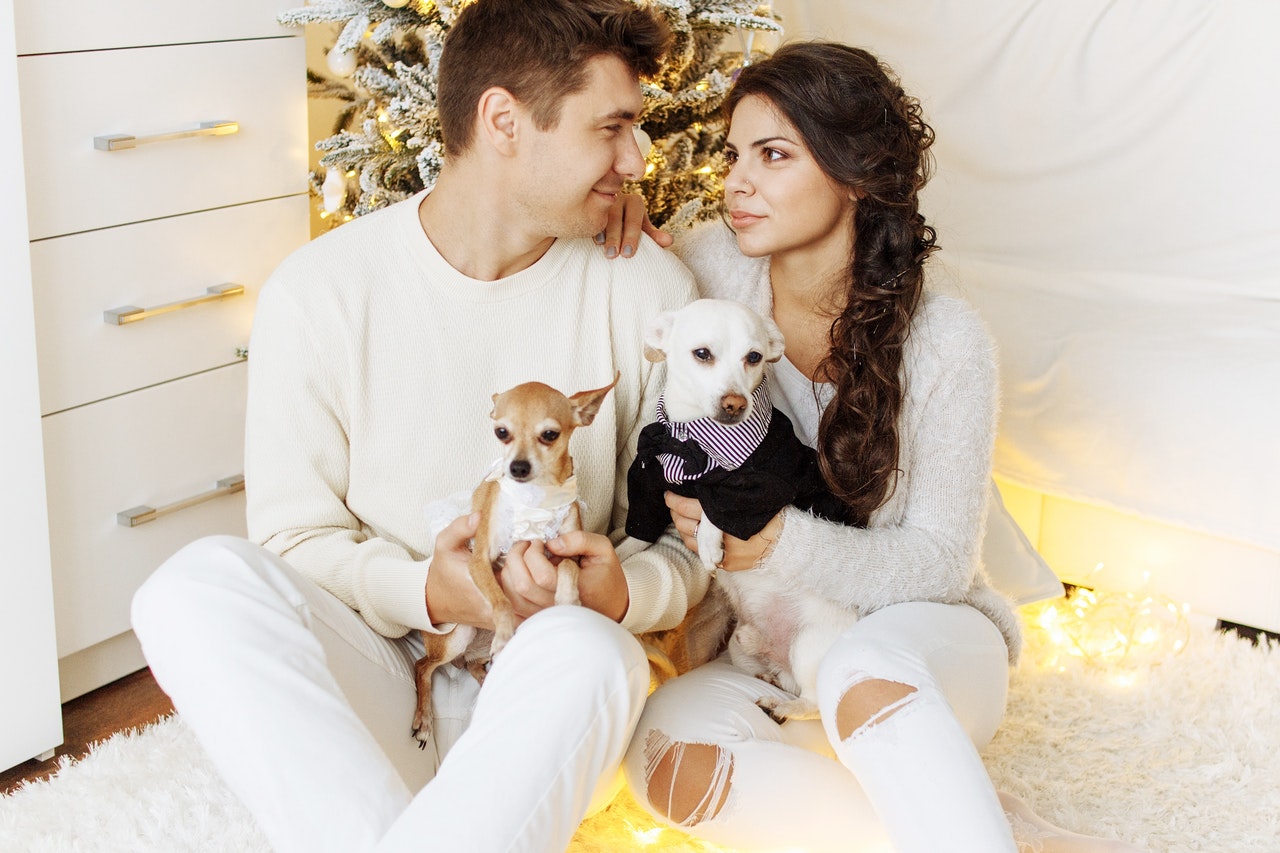 dogs with owners in front of Christmas tree