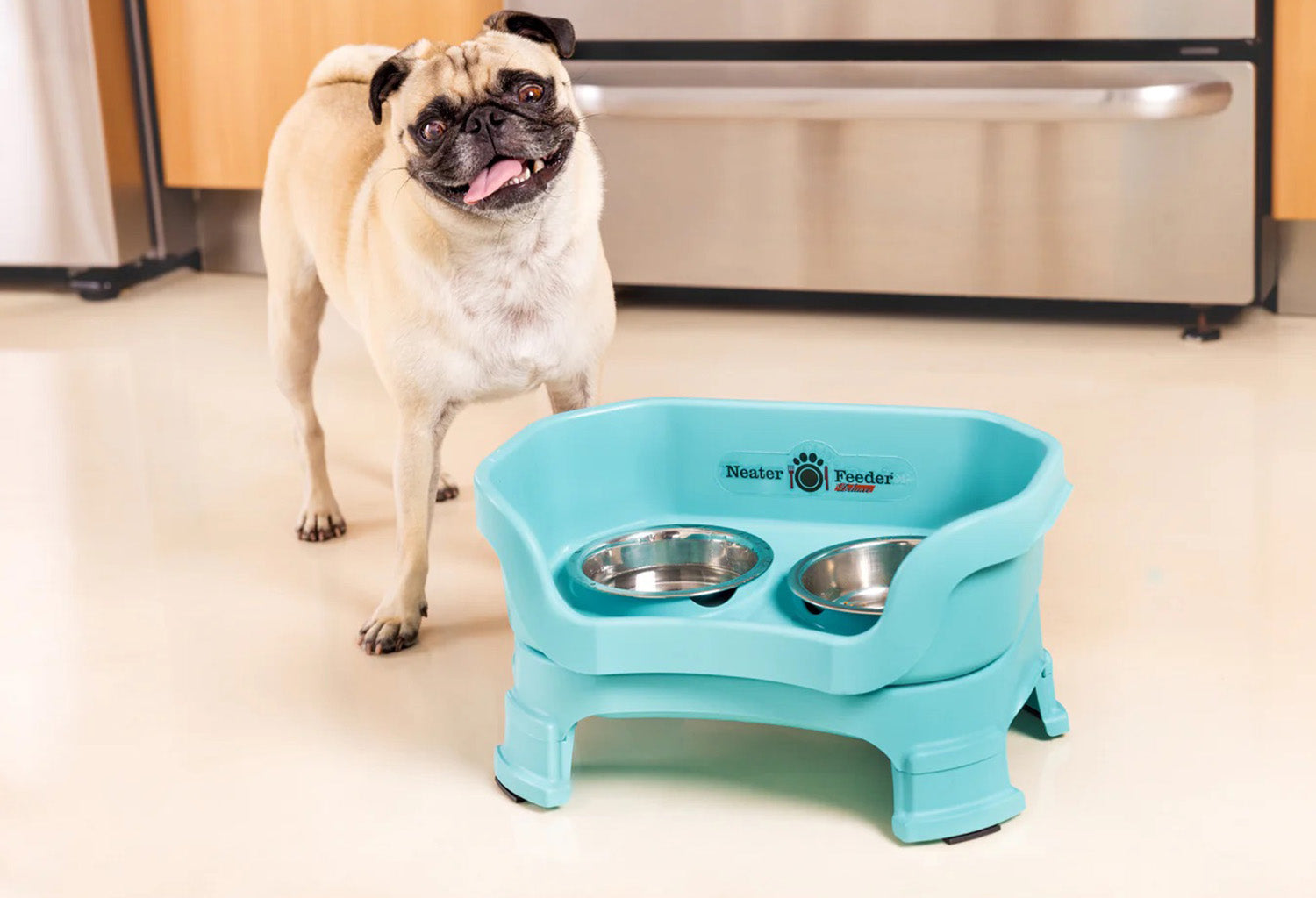 A Pug next to a Neater Feeder