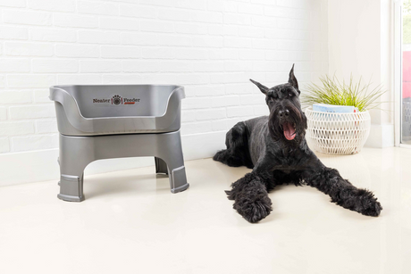 Dog laying next to the Neater Feeder
