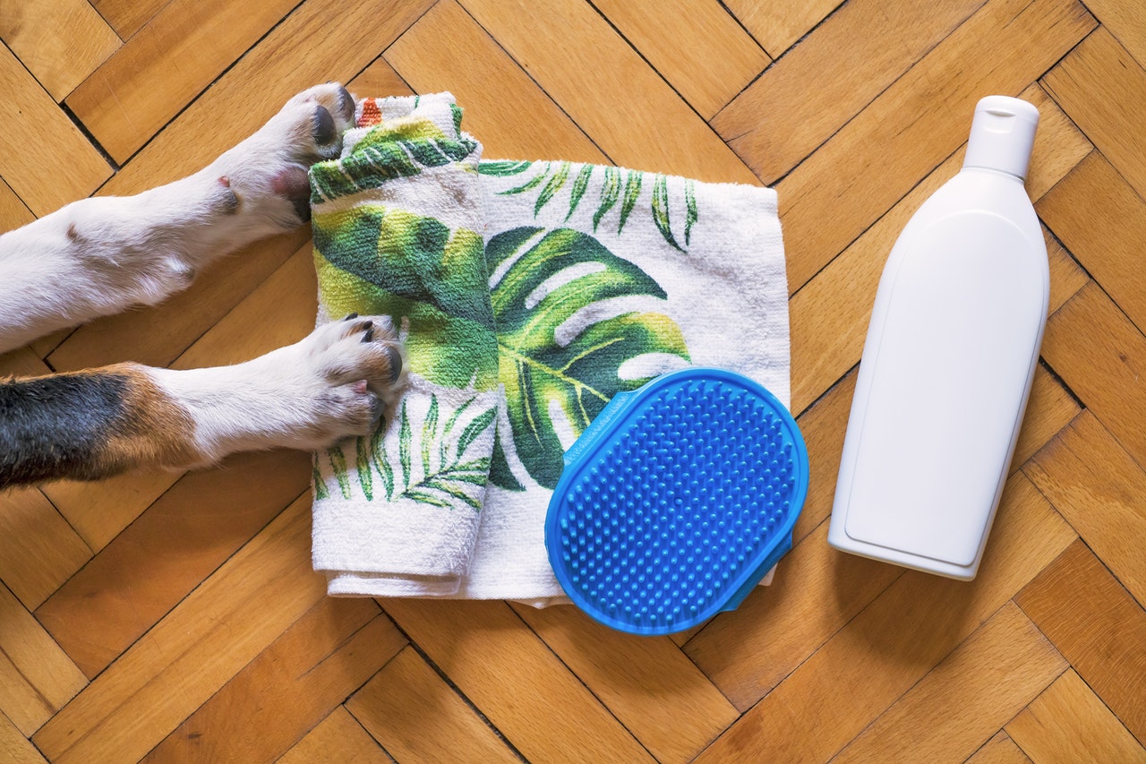 Dog paws with brush 