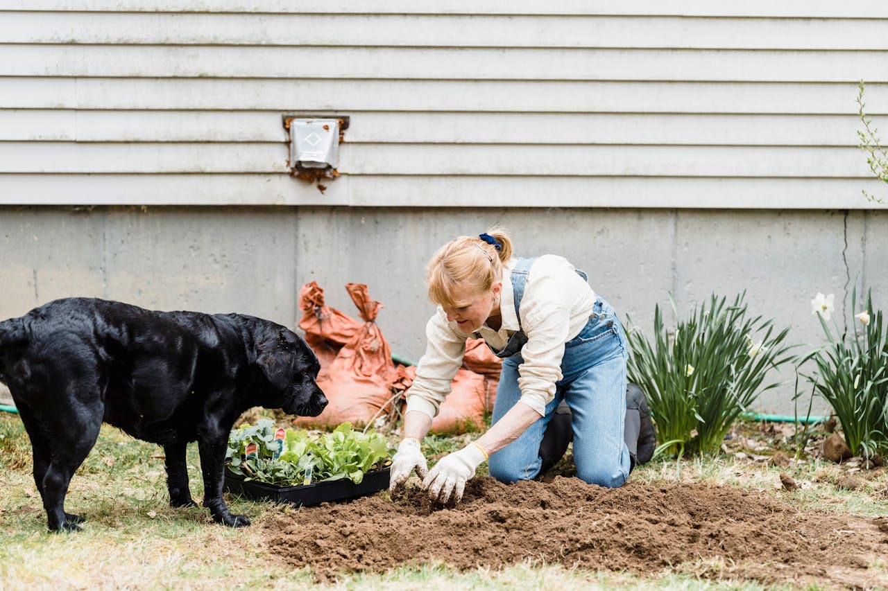Woman gardening with dog