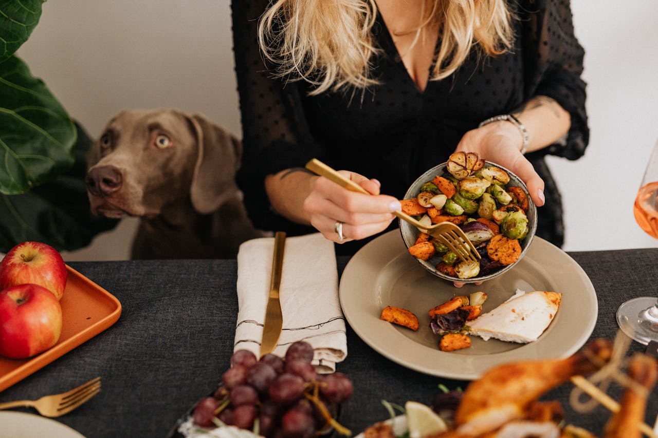 Dog looking at food