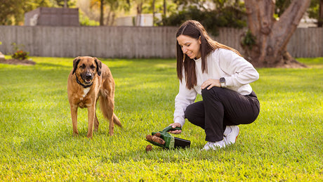 Woman picking up dog waste with a pooper scooper