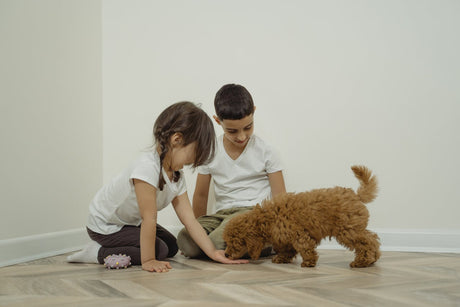 Kids playing with a dog