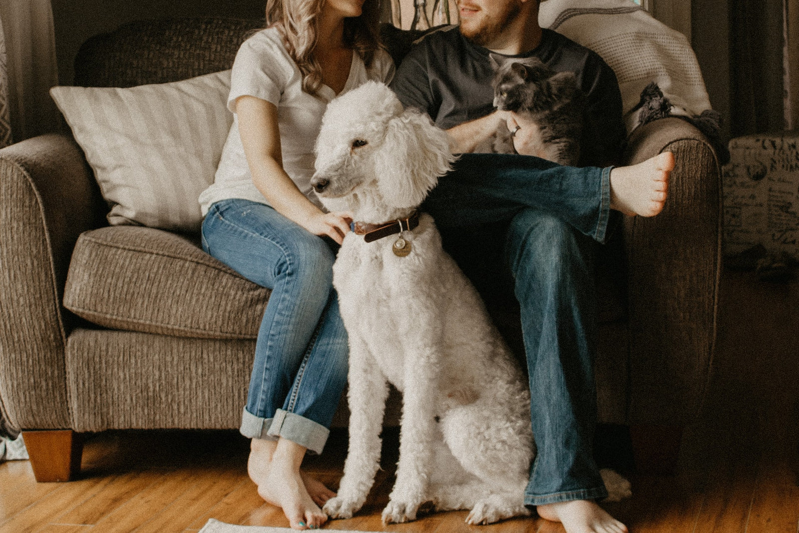 a couple holding a cat and a dog