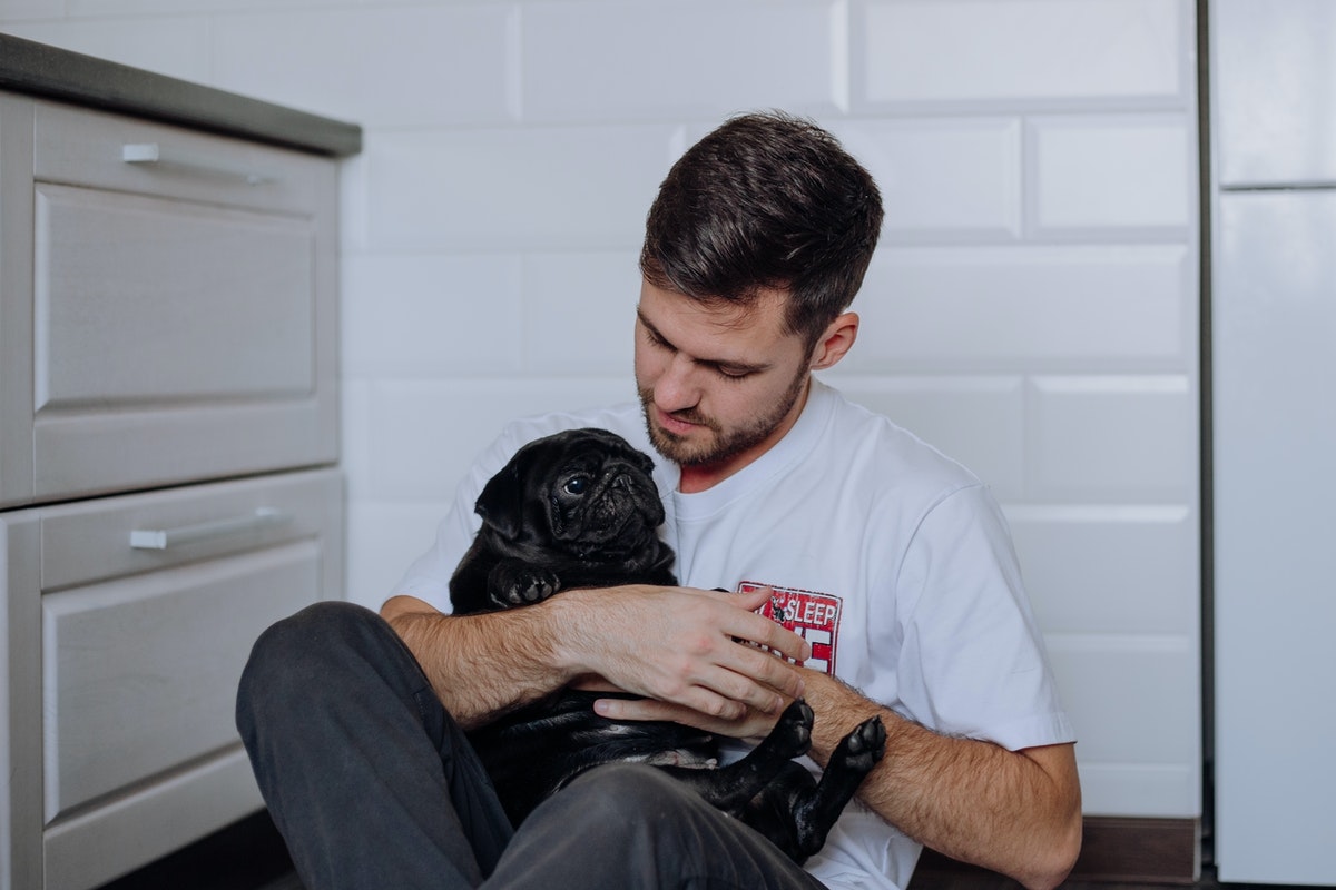 Man holding pug 