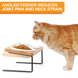Image showing a cat at the angled feeder - image explains that using an angled feeder reduces neck strain