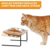 Image showing a cat at the angled feeder - image explains that using an angled feeder reduces neck strain