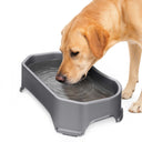 Labrador drinking out of Gunmetal Big Bowl on a white background.
