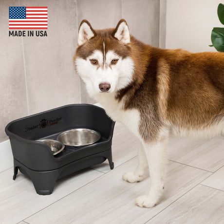 Husky eating from Black Express that is Made in the USA