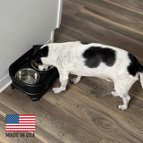 Small dog eating from Black Express - Made in the USA