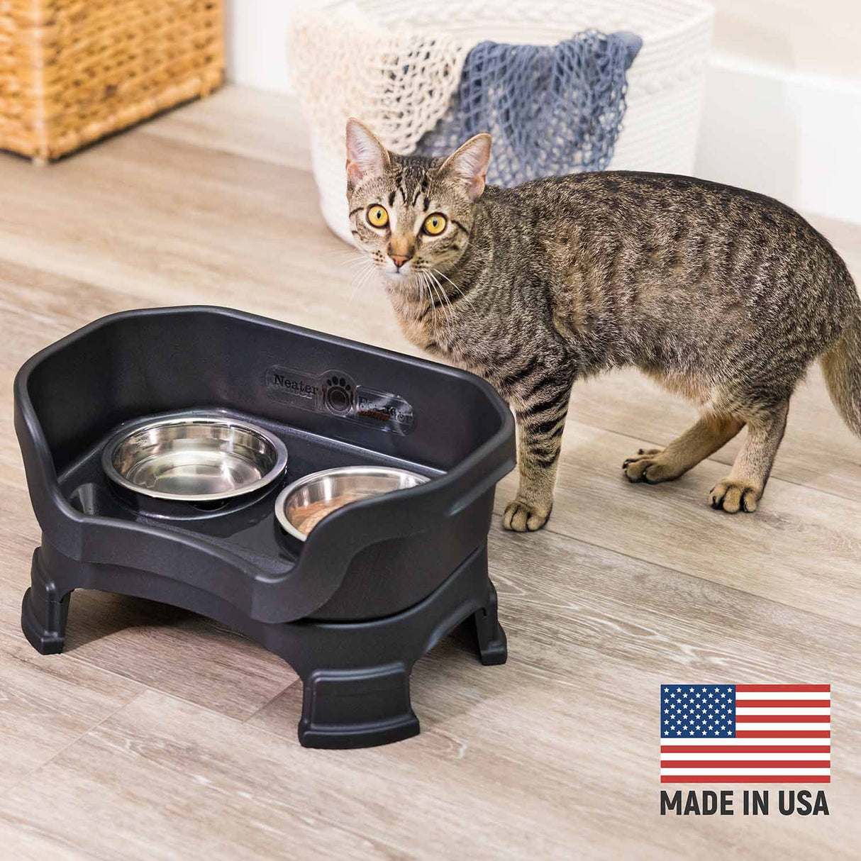 Cat next to Black Neater Feeder Deluxe - Made in the USA