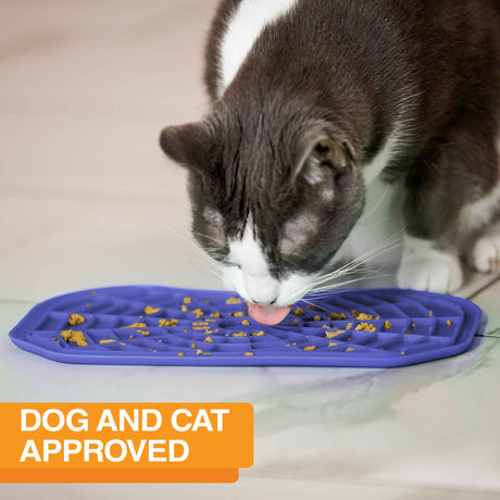 Cat licking food out of the Neat-Lik Mat Slow Feed Licking Mat directly on the ground