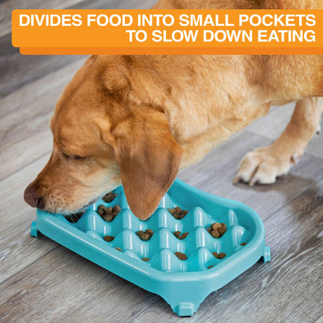 divides food into small pockets to slow down eating