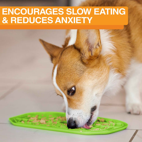 Dog licking peanut butter from the green Neat-Lik Mat Slow Feed Licking Mat placed on the ground