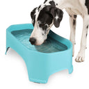 Great Dane drinking from Giant Bowl in Aquamarine