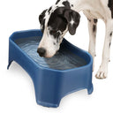 Great Dane drinking from Giant Bowl in Dark Blue