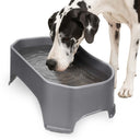 Great Dane drinking from Giant Bowl in Gunmetal