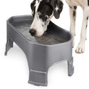 Great Dane drinking from the Giant Bowl with Leg Extensions in Gunmetal