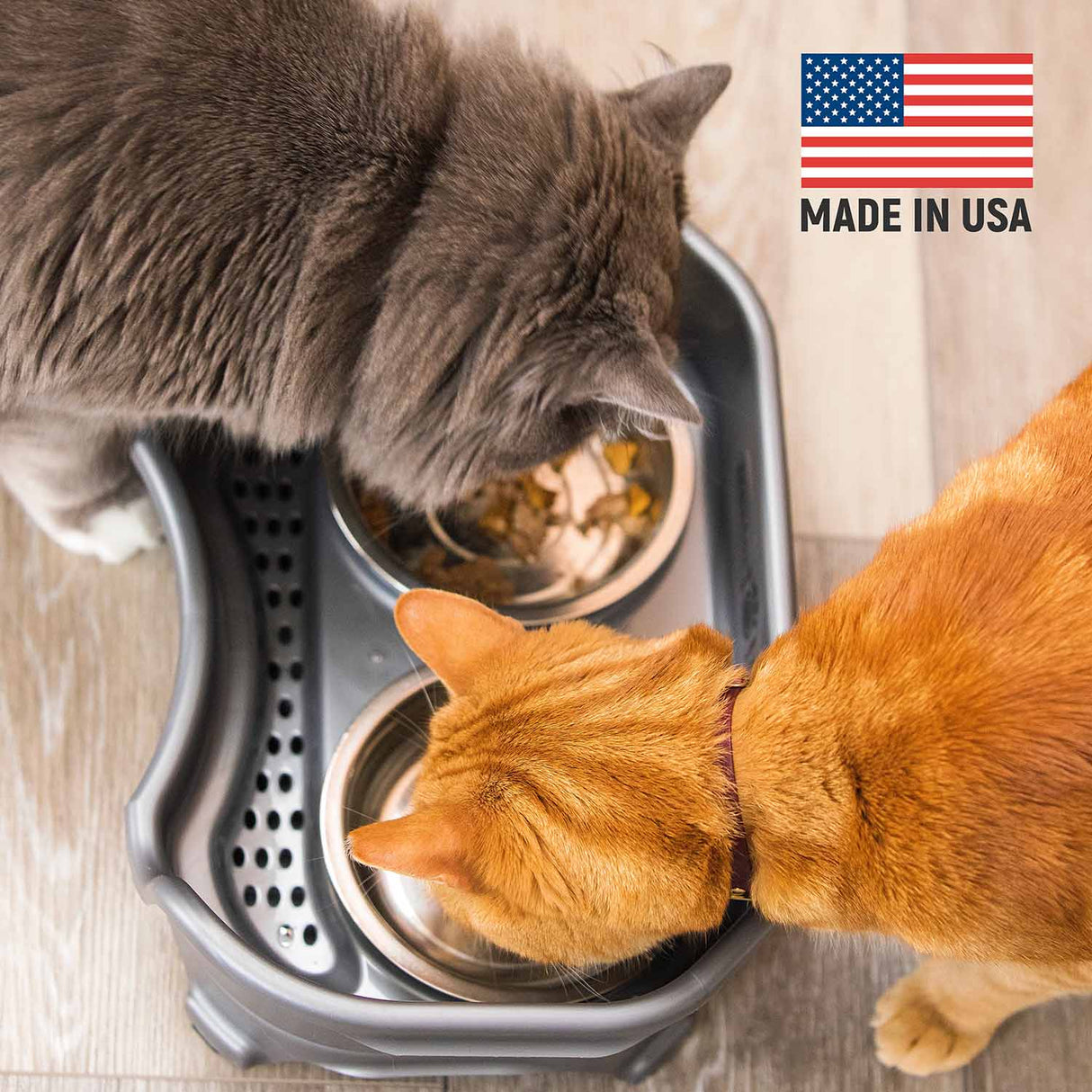 Cats eating from Gunmetal Express that is Made in the USA