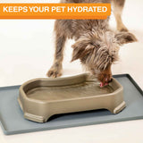 Big bowls keep your pet hydrated