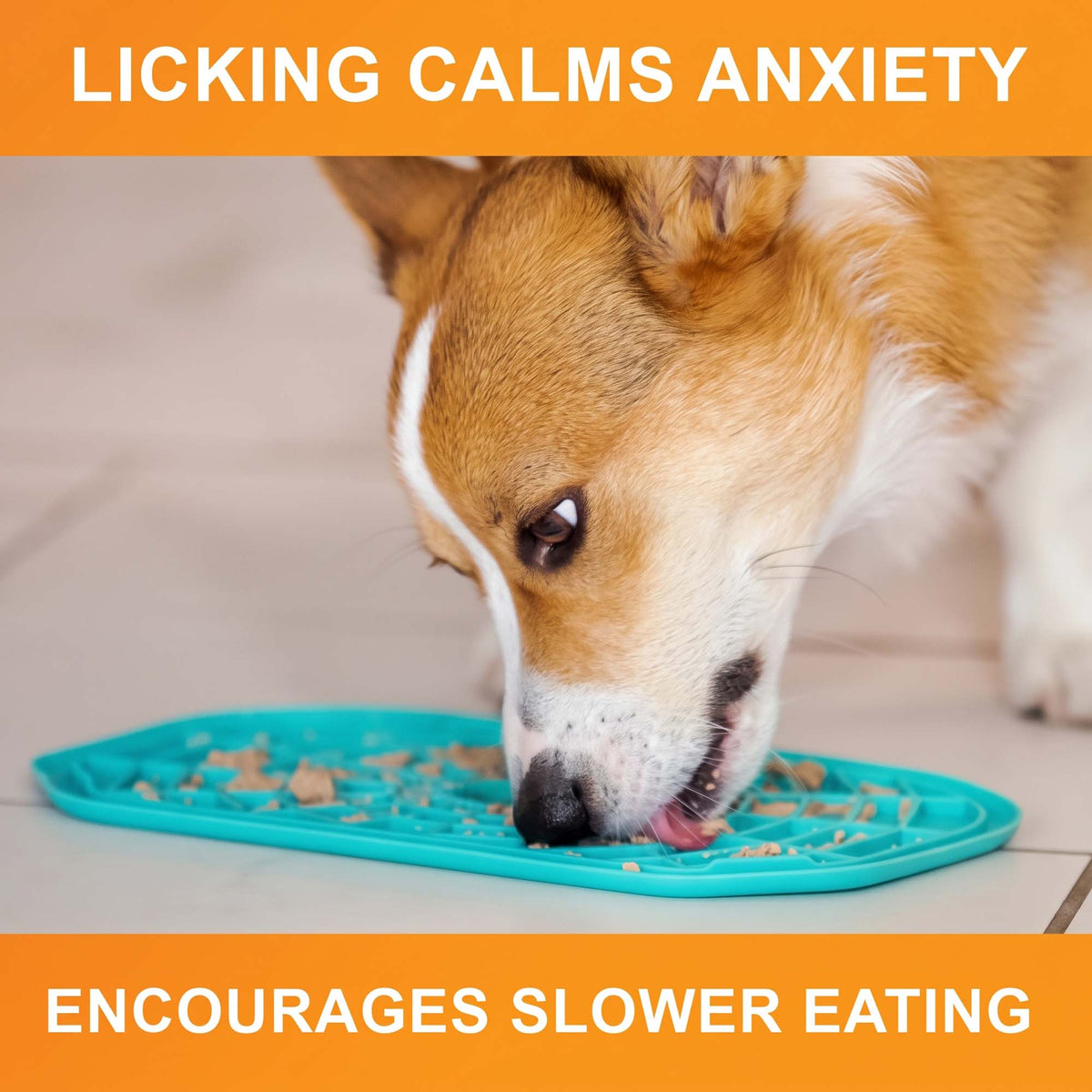 Licking calms anxiety and encourages slower eating: a corgi licks treats from an aquamarine Neat-Lik Express mat on a tile floor