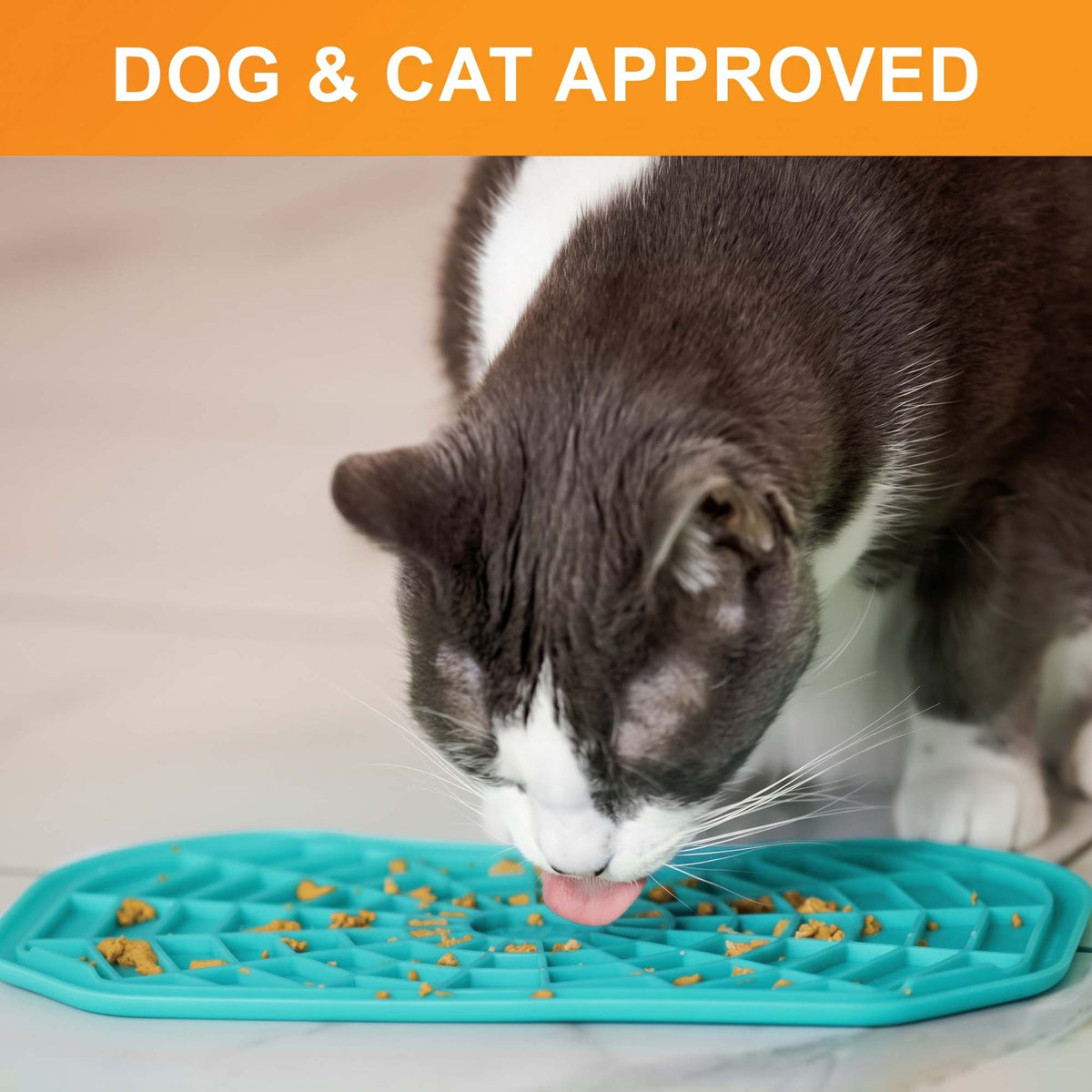 Dog and cat approved: a grey and white cat licks treats from an aquamarine Neat-Lik Express mat