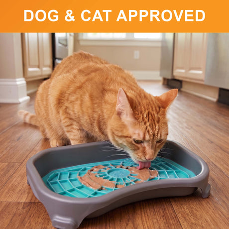 Dog and cat approved: an orange tabby cat licks an aquamarine Neat-Lik Express mat in its mess-proof tray