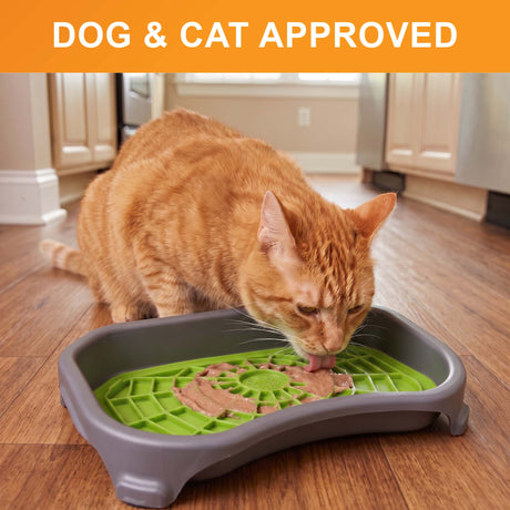 Dog and cat approved: an orange tabby cat licks a green Neat-Lik Express mat in its mess-proof tray