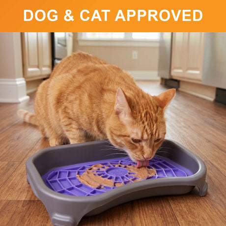 Dog and cat approved: an orange tabby cat licks a purple Neat-Lik Express mat in its mess-proof tray