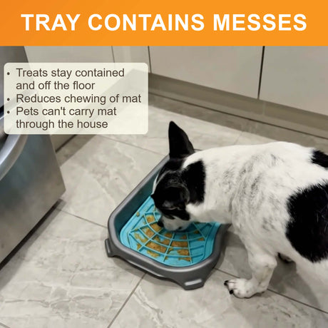 Tray contains messes: a dog licks an aquamarine Neat-Lik Express mat in its tray, which keeps treats off the floor and stops pets carrying the mat away