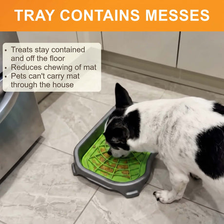 Tray contains messes: a dog licks a green Neat-Lik Express mat in its tray, which keeps treats off the floor and stops pets carrying the mat away