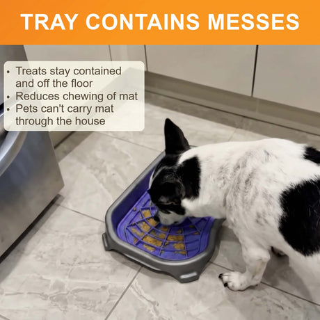 Tray contains messes: a dog licks a purple Neat-Lik Express mat in its tray, which keeps treats off the floor and stops pets carrying the mat away