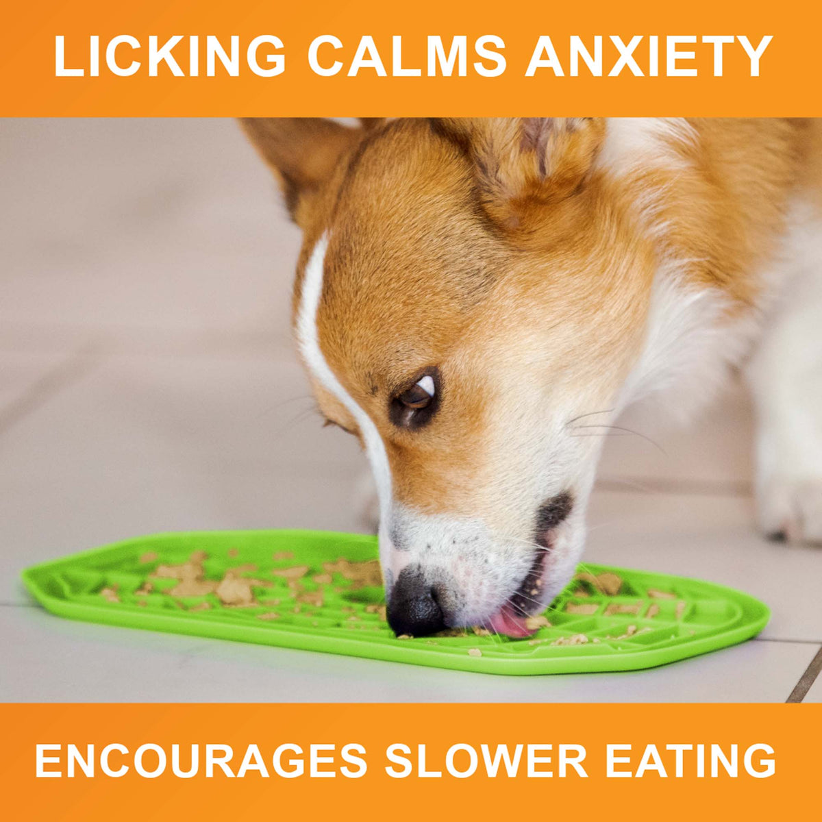 Licking calms anxiety and encourages slower eating: a corgi licks treats from a green Neat-Lik Express mat on a tile floor
