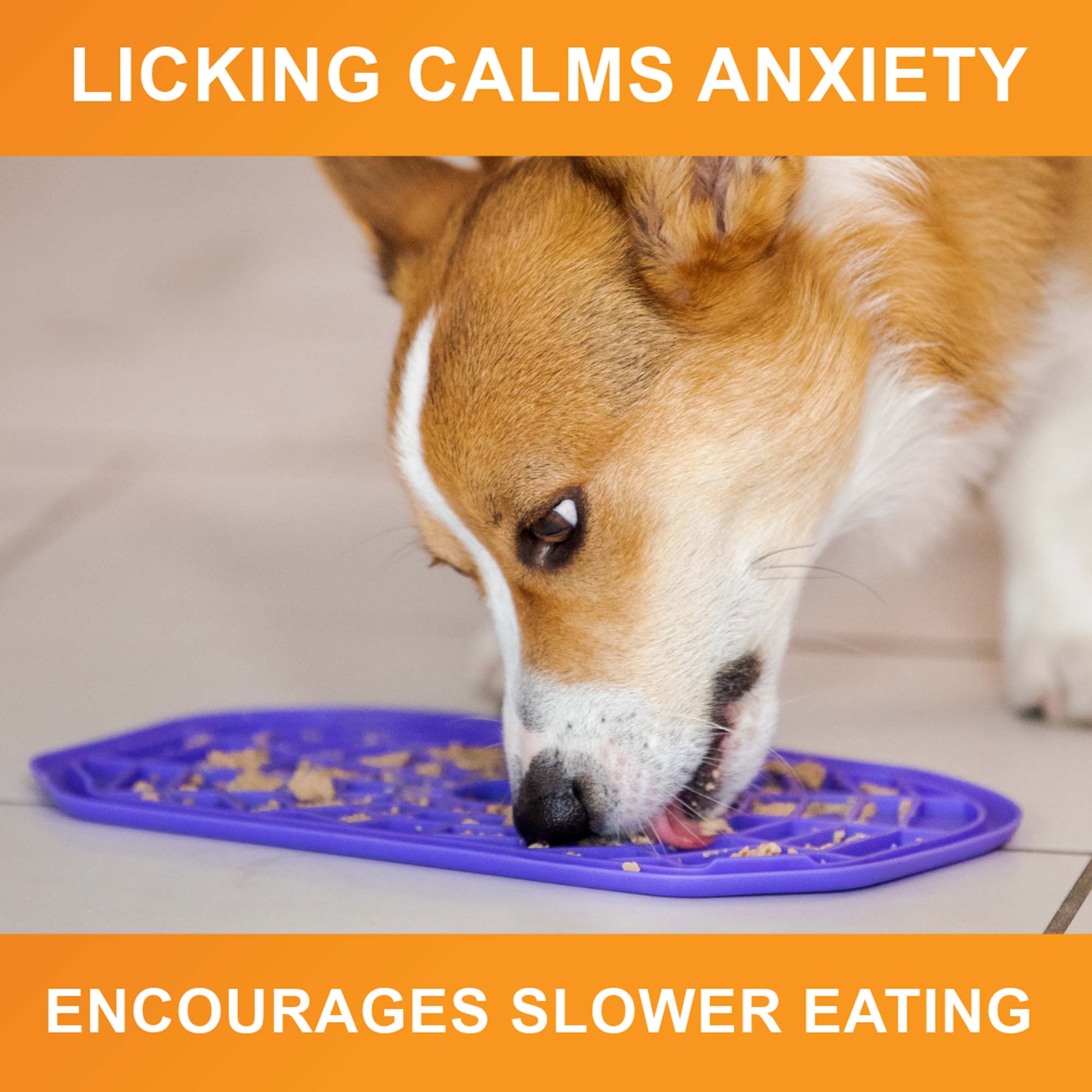 Neat-Lik Slow Feed Licking Mat | Pet Treat Mat for Dogs and Cats