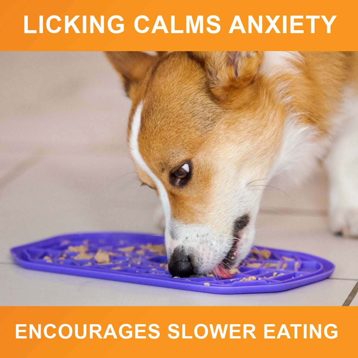 Dog licking peanut butter from the purple Neat-Lik Mat Slow Feed Licking Mat placed on the ground with text that says "encourages slow eating and reduces anxiety."