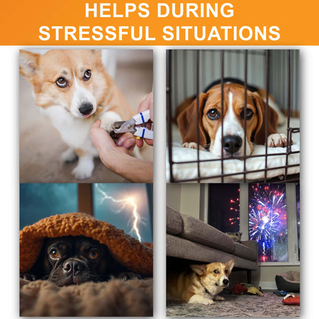 An image of dogs in stressful situations including nail trims, crate time, thunderstorms, and fireworks. The header says "Helps during stressful situations."