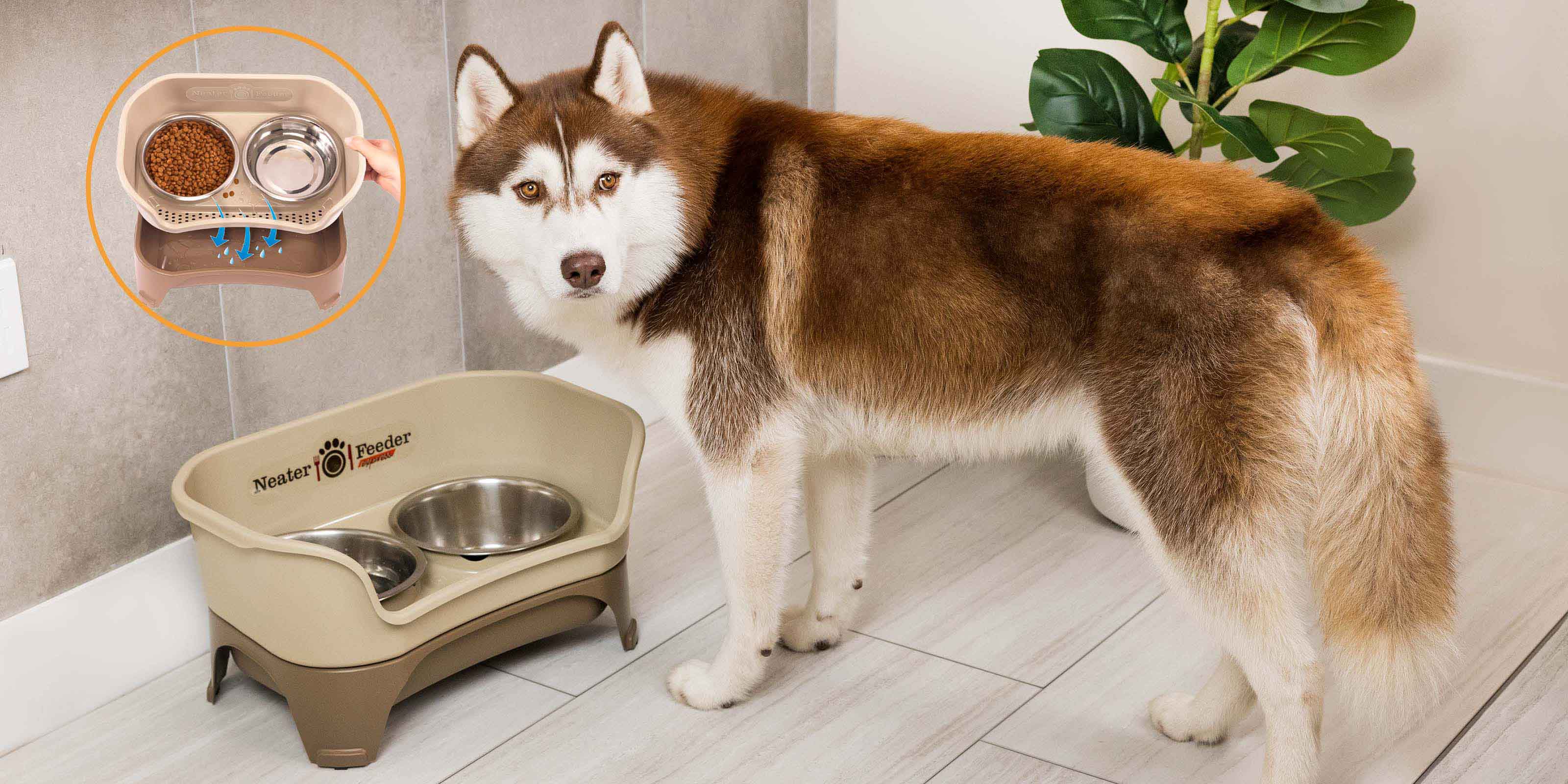 Neater Pets Official Website: Unique and Innovative Products for Pets