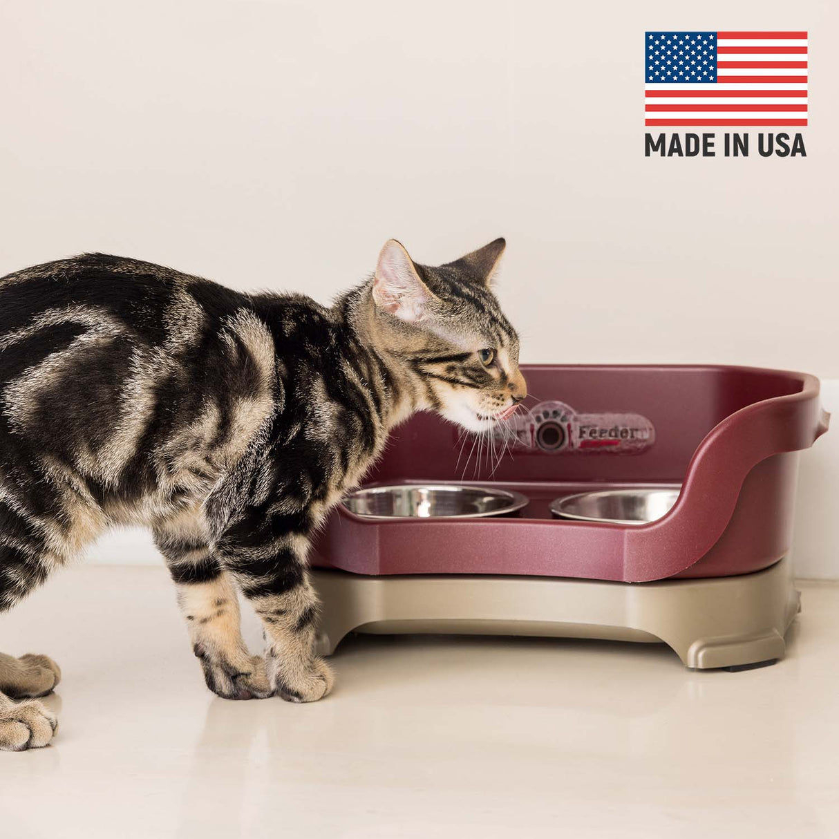 Cat eating from Cranberry Neater Feeder Deluxe - Made in the USA