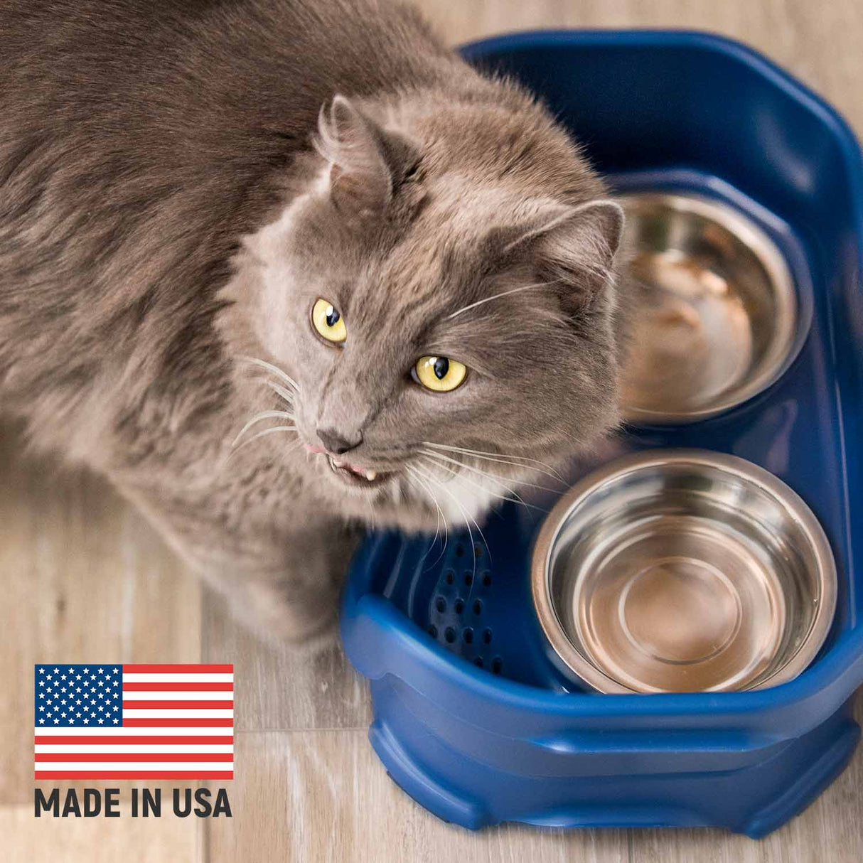Cat eating from Dark Blue Neater Feeder Deluxe - Made in the USA