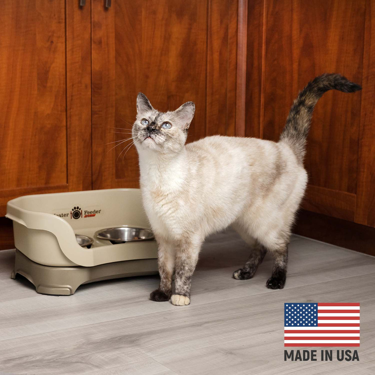 Cat next to Cappuccino Neater Feeder Deluxe - Made in the USA