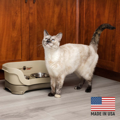 Cat next to Cappuccino Neater Feeder Deluxe - Made in the USA